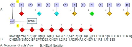 HELM notation